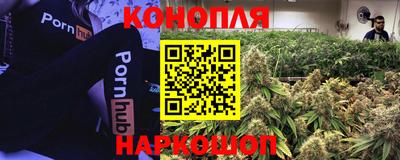 эйфоретик Можга