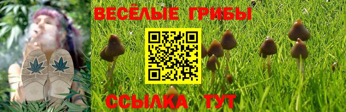 Псилоцибиновые грибы ЛСД  Вход с VPN  Галлюциногенные грибы Psilocybe  Ставрополь 